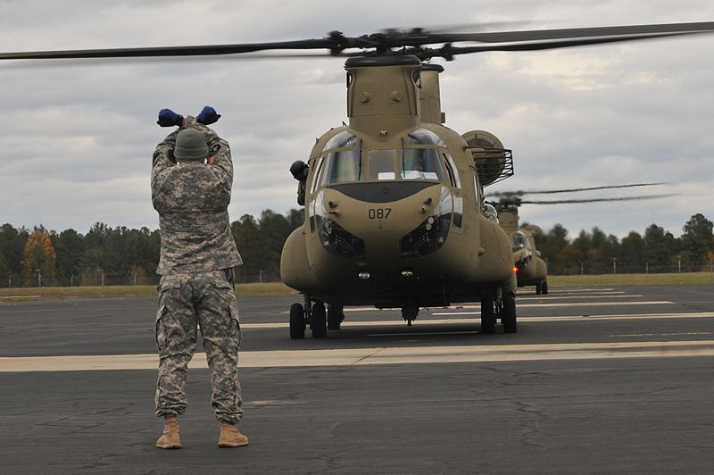 File:Alabama and Georgia National Guard - Flickr - The National Guard (1).jpg