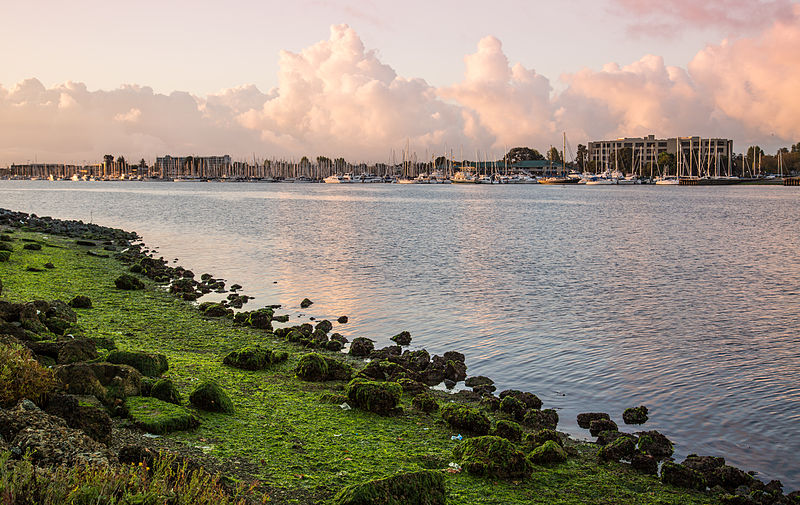 File:Alameda Marina (15386878201).jpg