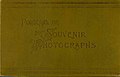 Album cover for boudoir size photographs, 1887 (AL+CA 3187).jpg