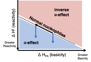 Figure 3. Plot of reactivity and basicity shows the (inverse)-a-effect Alpha and inverse alpha effect.png