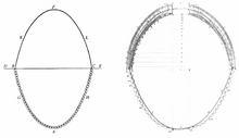 Poleni's analysis of the dome (right) Analogy between an arch and a hanging chain and comparison to the dome of St Peter's Cathedral in Rome.png