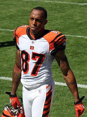 Andre Caldwell while with the Bengals.