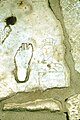 Antiker Wegweiser zum Bordell von Ephesus.jpg
