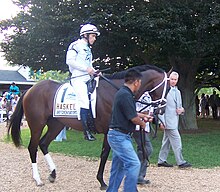 Any Given Saturday with Jockey Garrett Gomez, Trainer Todd Pletcher.jpg