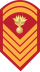 Army-GRE-OR-08.svg