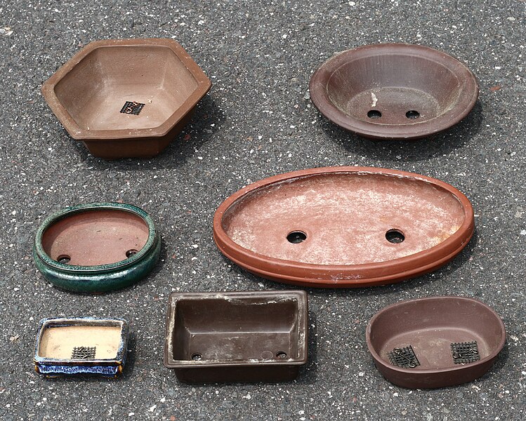 File:Assorted bonsai pots.jpg