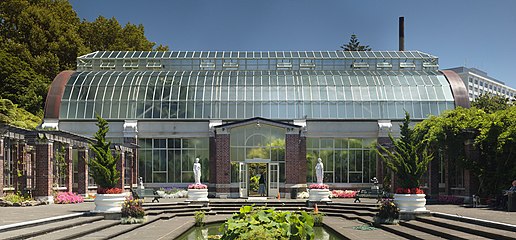 Auckland Domain Wintergardens, New Zealand