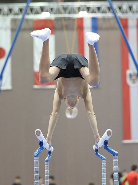 File:Austrian Future Cup 2018-11-23 Training Afternoon Parallel bars (Martin Rulsch) 0439.jpg