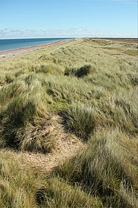 Ayres dunes, Isle of Man.jpg