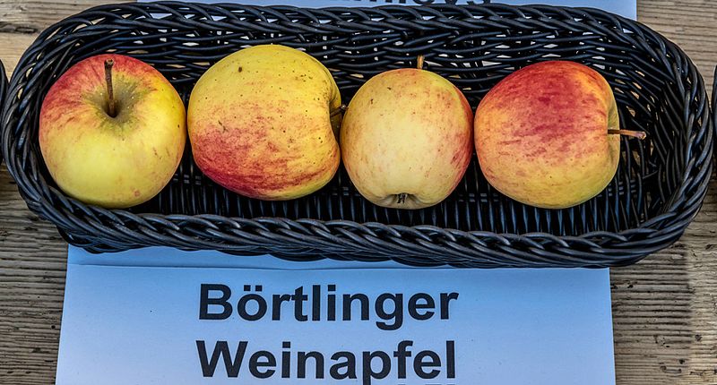 File:Börtlinger Weinapfel jm55142.jpg