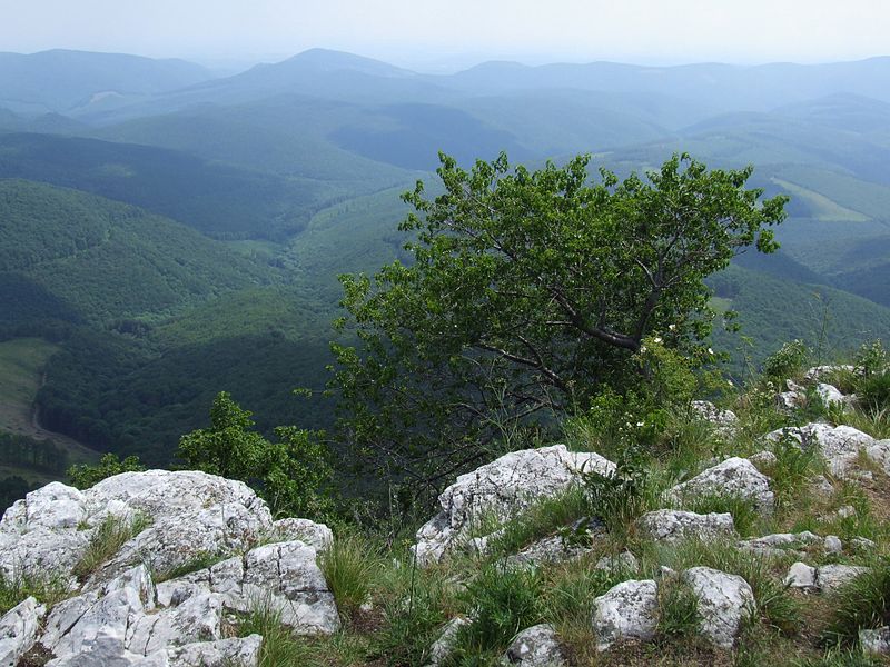 File:Bükk Mountains 04 (by Pudelek) - view from Tar-kő.JPG