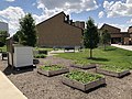 wikimedia_commons=File:BGSU community garden in summer.jpg