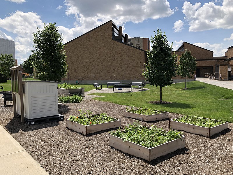 File:BGSU community garden in summer.jpg