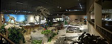 Badlands Dinozor Müzesi salonu 2018.jpg