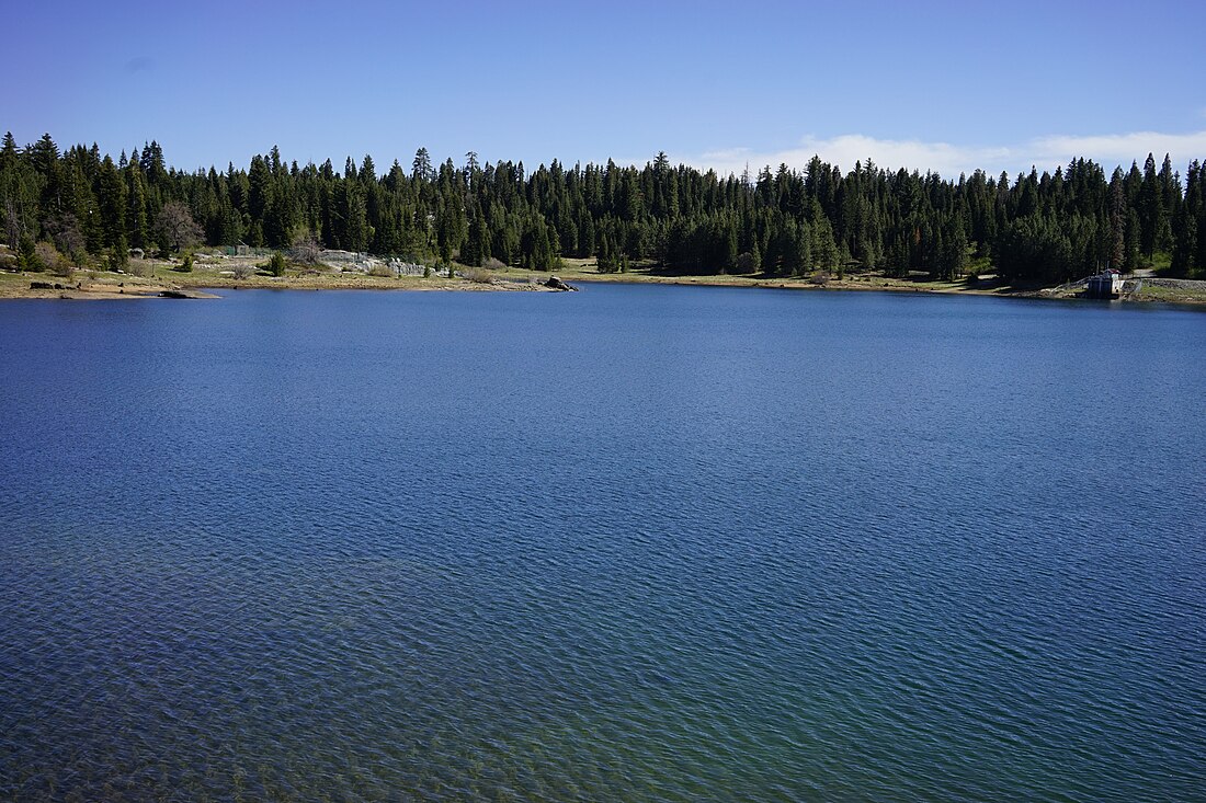 Balsam Forebay