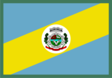 Boa Vista do Sul zászlaja