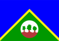 Bandeira de Alta Floresta D'Oeste