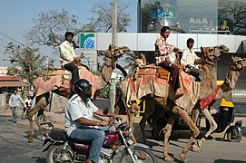 Bangalore: Étymologie, Géographie, Environnement