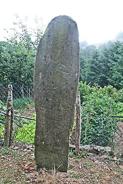 Illustrativt billede af artiklen Statue-menhir of Cantoul