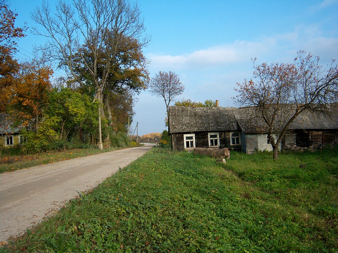 File:Bebarzdžiai, gatvė.JPG