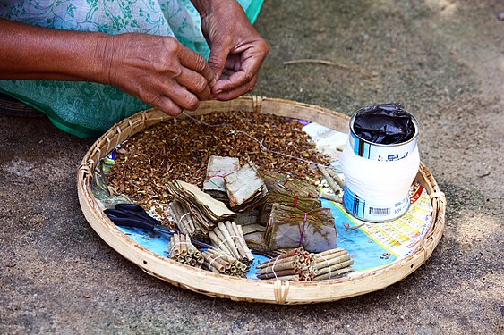 Beedi making process. Bidi leaf (Bauhinia racemosa) and shredded tobacco are prepared and finalize with thread binding.