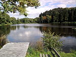 Beuerbacher See
