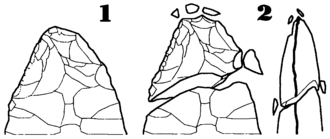 Drawing of the fracturing of the point of a hand axe, due to its use. Bifaz-Rotura de la punta.png