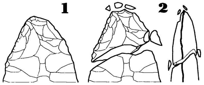 File:Bifaz-Rotura de la punta.png