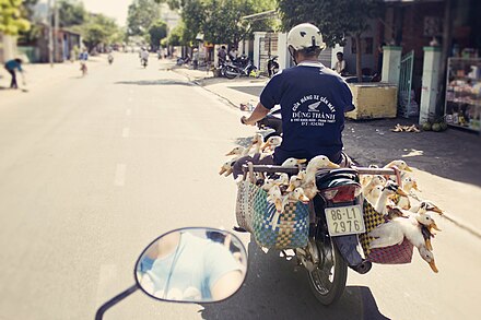 Bikes are a common means of transport in Mui Ne