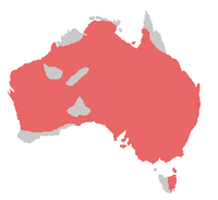 Rasprostranjenost ružičastih kakadua (crveno = zadržava se cijelu godinu)