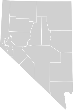 Blank map subdivisions 2019 Albers Nevada