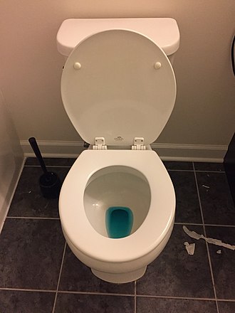 Blue toilet water from using in-tank toilet cleaner tablet Blue toilet water.jpg