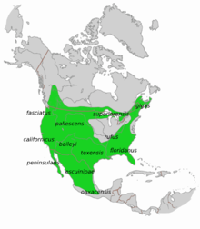 Localisation des différentes sous-espèces.