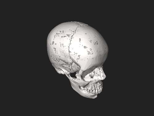 BodyParts3D Skull.stl