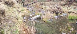 Rocky, westerly flowing streams, like this one near Oberon, are prime habitat of the Booroolong frog. Booroolong habitat oberon.jpg