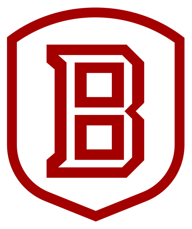  Bradley University Lapel Pins Braves BU College Logo