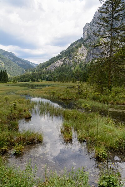 File:Brunnsee 20180715 06.jpg