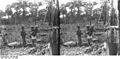 Bundesarchiv Bild 163-309, Kamerun, Victoria, Einheimische Frauen.jpg