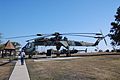 CH-54 in Fort Hod.jpg