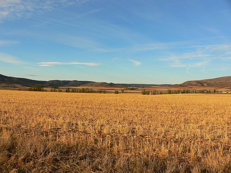 File:Campos de Sigüenza.jpg