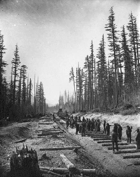 Canadian Pacific Railway Crew laying tracks at lower Fraser Valley, 1883