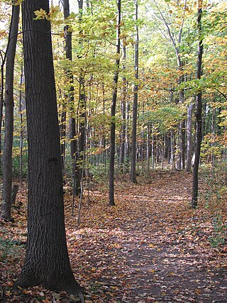 <span class="mw-page-title-main">Cap-Saint-Jacques Nature Park</span> Large nature park in Montreal, Canada