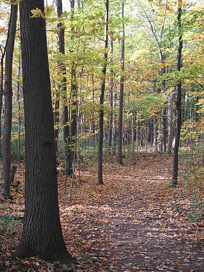 How to get to Cap-Saint-Jacques Nature Park with public transit - About the place