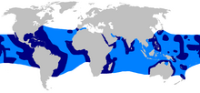 Mappa del mondo con ampie aree nei tropici di tutti gli oceani di colore blu scuro e gli spazi tra i colori blu chiaro per formare una banda globale continua