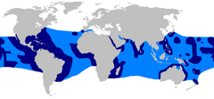 Alcance confirmado (azul escuro) e suspeitado (azul claro) do tubarão-seda.[2]