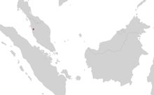 Caudacaecilia larutensis area. png 