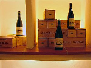 Caveau du mas de Daumas Gassac.