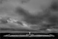 Military Argentine Cemetery, Falkland Islands/Islas Malvinas. Author: Tomás Terroba