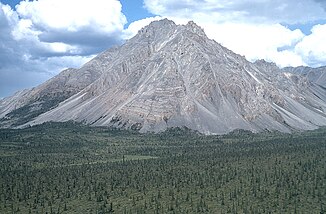 Valle boscoso del río Teedriinjik (río Chandalar)