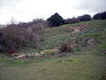 The back-filled remains of a mine shaft at the neolithic flint mines at Cissbury in the north of the borough of Worthing Cissbury Ring neolithic flint mine 1.JPG